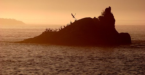 sunset usa pelicans oregon rockawaybeach tillamookbay abigfave