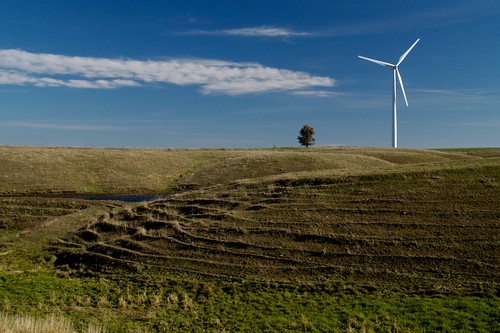 morning usa tree minnesota rural landscape energy unitedstates wind alternativeenergy electricity ravine chandler mn turbine windturbine windpower