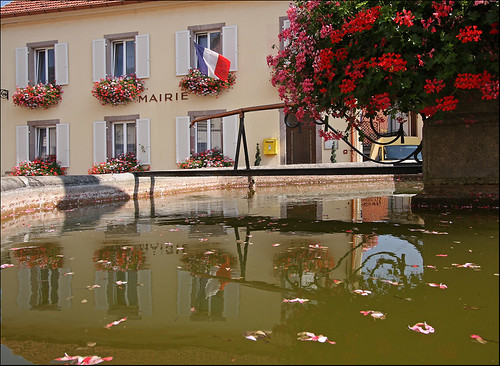 france reflection water fountain petals alsace tricolor postbox geranium 2009 mairie voegtlinshoffen