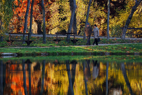 park autumn reflection romania toamna apa romanescu culori cuplu