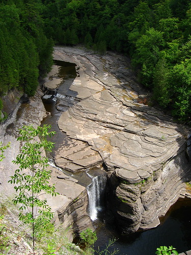 trees water rock waterfall gorge trenton