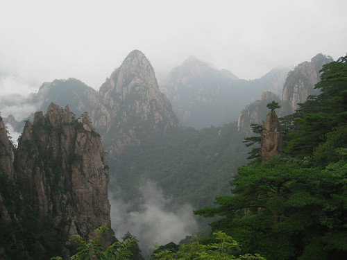 china naturaleza mist mountain tree nature rock peak lonelytree yama huangshan anhui yellowmountain naturesfinest abigfave theunforgettablepictures lpcurves lpvalleys