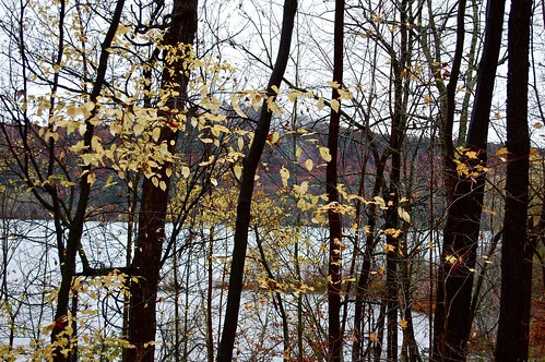 autumncolors newyorkstate otsegolake otsegocounty glimmerglassopera edbrodzinsky biologicalfieldstation goodyearwildlifesanctuary