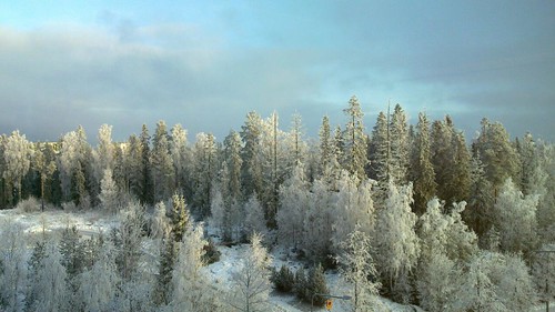 winter snow suomi landscape tampere