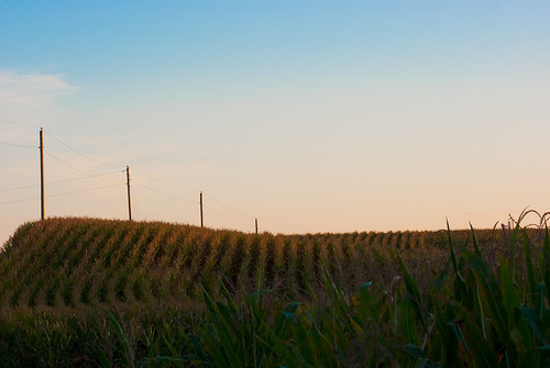 blue sky green field lines landscape illinois corn pentax farm horizon wires telephonepole plain maize leading babyblue k200d