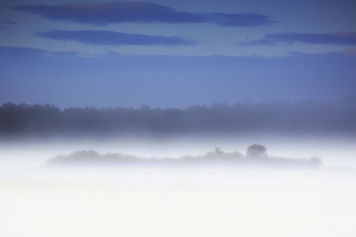wood autumn trees sky mist fog clouds forest landscape deutschland nebel herbst himmel wolken wald bäume lanschaft niedersachsen naturesfinest varlosen niemetal