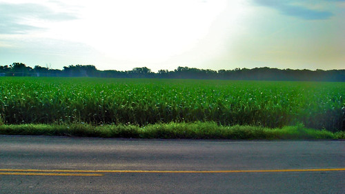 road sky green corn farm country land asphalt