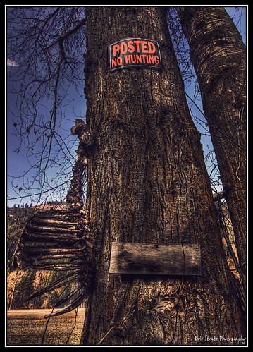 tree sign warning geotagged skeleton hunting deer remains carcass deaddeer nohunting deercarcass geo:lat=48961511 geo:lon=118766488