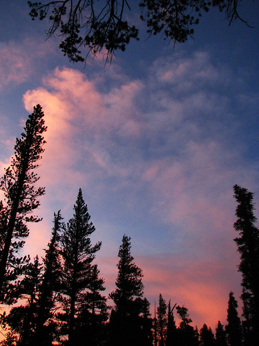 california pink blue sunset red sky orange mountain nature landscape outdoors purple hiking pines geography eveningsky sierranevada pinetrees sierranevadamountains easternsierra calstatefullerton goldentroutwilderness californiamountains geog483
