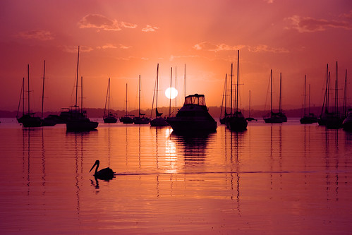 sunset sun lake silhouette marina boats belmont pelican yachts lakemacquarie belmontbay lakemacquarieyachtclub