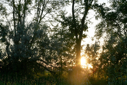 garden sunsetndgrandforks