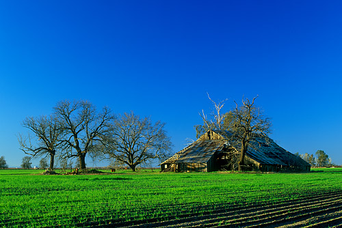california county barn landscape photography butte valley sacramento agriculture northern