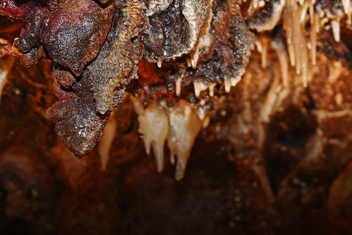 ohio black nature museum canon dark underground rebel midwest rocks natural bat caves boulders cave tamron caverns bats stalactites stalagmites lucis libertycounty xti 1750mm