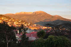 Mount Wellington Morning Tour From Hobart
