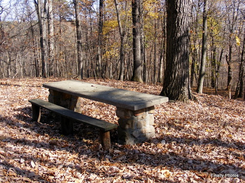 county autumn trees fall leaves playground bench md woods maryland foliage cumberland picnictable allegany constitutionpark javcon117 frostphotos