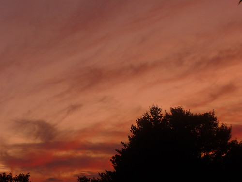 sunset summer sky orange west tree clouds dusk belmont michigan flash july grand rapids goldenhour