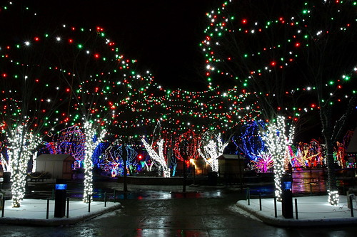 christmas columbus ohio holiday night zoo lights long exposure powell wildlights