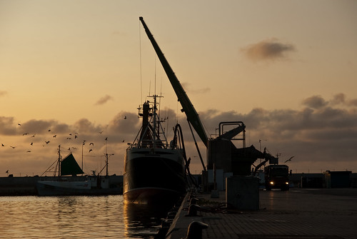 sunset port denmark evening fishing harbour northsea danmark trawler fishingvessel hanstholm nortjutland