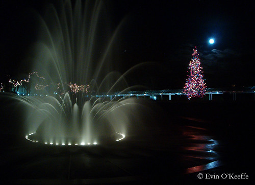 Christmas at Seattle Center