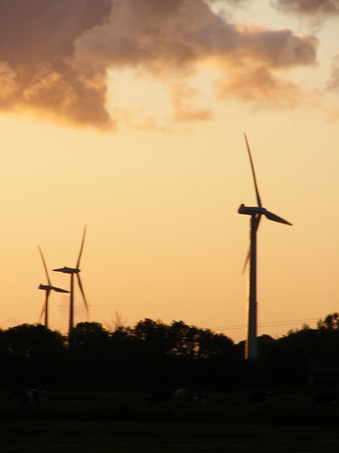 abstract skyline germany cows sunsets windmills powerlines electricity sande windgenerators friesenland