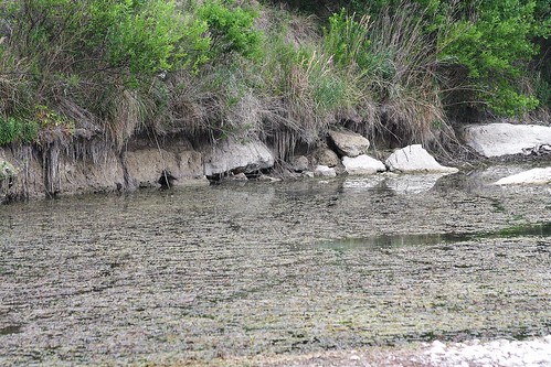tx drought nunn county” river” “tom crossing” “uvalde “nueces
