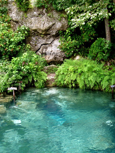 water florida jackson springs marianna aquifer merrittsmillpond shangrilaspring