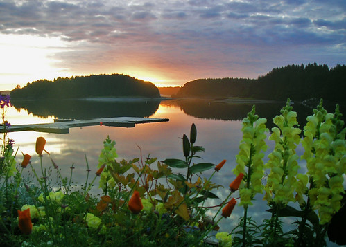 blue light red summer sky flower reflection water yellow alaska sunrise landscape geotagged dawn twilight pacificocean kodiak 1388 nearisland