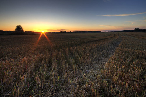 sunset field harvest tracks hdr straws östergötland sigma1020mmf456exdchsm johanklovsjö