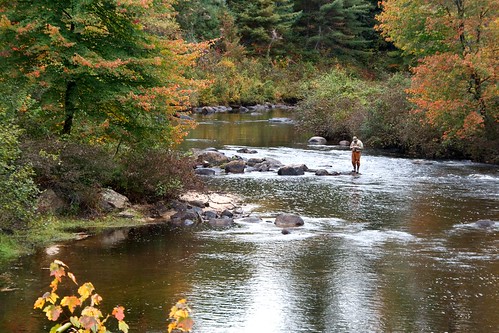 autumn color fall water river fishing fisherman harrison maine sigma crookedriver eos400d scribnersmills