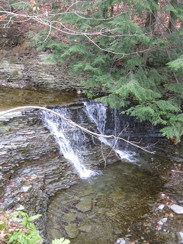 bridge newyork tree mushroom creek waterfall stream upstate falls vestal southerntier stairpark 120209