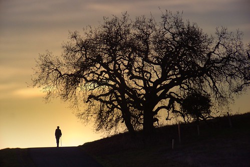 california usa silhouette landscape