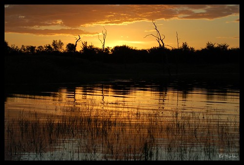 africa sunset sun lake water reeds under zimbabwe 18 relfection kariba