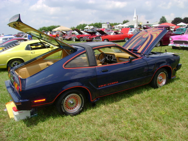 1978 Mustang King Cobra Images