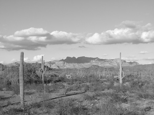 nature clouds cacti landscape blackwhite hiking biosphere saguaro sonorandesert organpipenationalmonument dscf5526 ajomountains fujifilmfinepixs5700