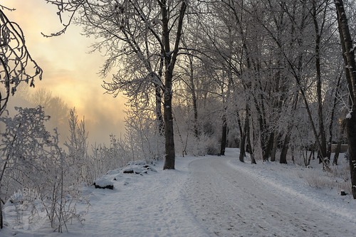 mist snow sunrise river path idaho boise greenbelt boiseriver