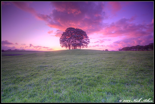 pink trees red sky green grass clouds sunrise colours purple malham yorkshiredales malhamdale