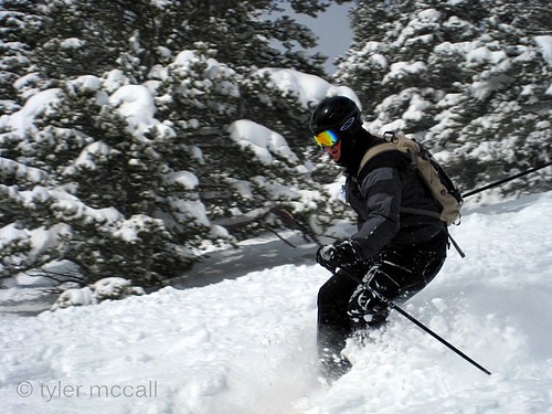snow cold tree skiing action powder breckenridge tylermccall