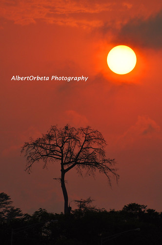 africa sunset sun west tree nikon explore nikkor 70300mm silhoutte equatorialguinea nikkor70300mm d5000 teampilipinas