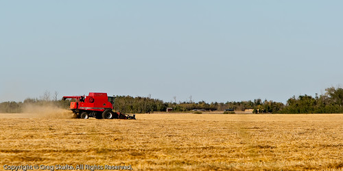 ca canada rural landscape farm harvest paisaje alberta combine canadá kanada landskap