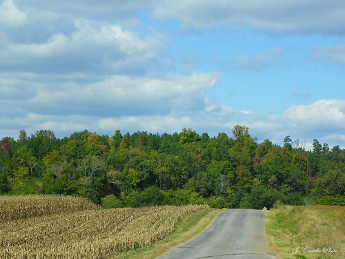 autumn usa fall america corn kodak tennessee polkcounty z980 easleyfordroad fieldspastures