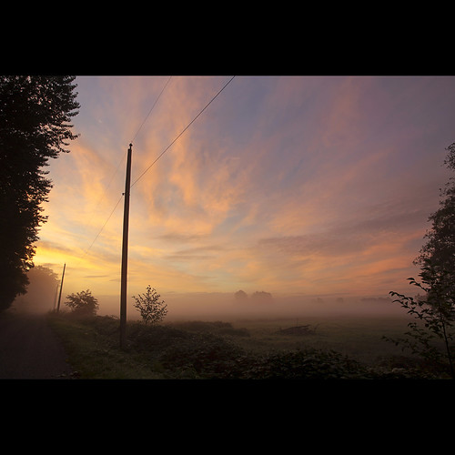 morning mist landscape dawn britishcolumbia surrey september morningmist latesummer barnstonisland canonef1740mmf40lusm kvdl