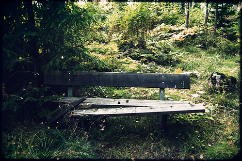 wood broken d50 bench geotagged nikon forrest sweden örebro brickebacken geo:lat=59238443 geo:lon=15248441
