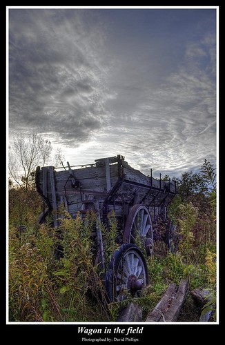 old trees sky plant ontario canada grass metal clouds canon wagon bush durham wheels memories trails rusty canadian rusted bushes deadwood hdr hdri wagonwheels illuminating decommisioned durhamontario hdraddicted hdraward highdynamicrangeimages t1i