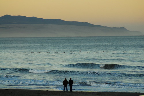 california beach pelicans sunrise walking haze sand waves hero winner pismobeach