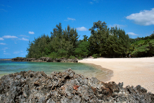 beach southpacific tropical efate vanuatau newhebridies paradiseholiday