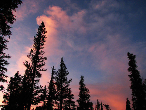 california pink blue sunset red sky orange mountain nature landscape outdoors purple hiking pines geography eveningsky sierranevada pinetrees sierranevadamountains easternsierra calstatefullerton goldentroutwilderness californiamountains geog483