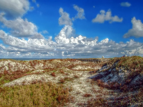 nearlyperfect ponceinletflorida daytonabeacharea florida coastal beach dunes seaoats walkway scenic landscape ocean atlanticocean clouds sky bluesky