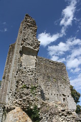 Domfront castle ruin