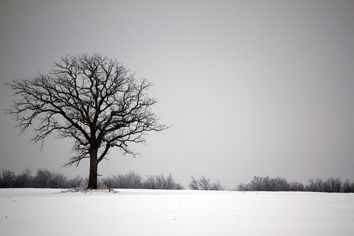 county trees winter snow k wisconsin highway fort jefferson atkinson