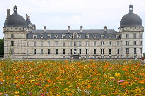 flowers orange symmetry chateau château valençay
